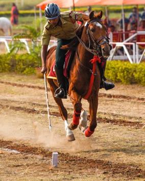 A participant of the tent pegging contingent in action during the Southern Star Horse Show-2017 at Pune Race Course on Thursday.  (Sanket Wankhade/HT PHOTO) 