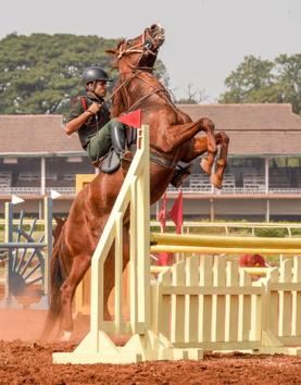 A participant makes his horse jump over a hurdle during the Southern Star Horse show at Pune Race Course on Thursday. (Sanket Wankhade/HT PHOTO) 