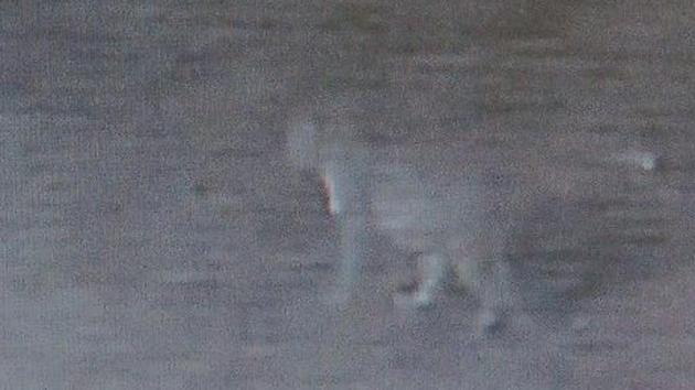 A screengrab from the video. (HT) A screengrab from the video. (HT)