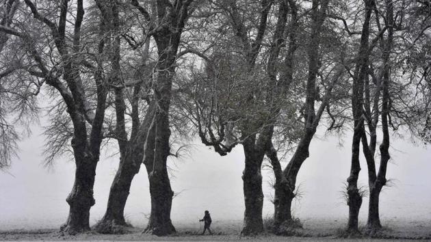 A walker passes a alley of trees near the village Marktoberdorf, southern Germany after the first onset of winter in Bavaria with temperatures at freezing point on November 13, 2017. (Christof Stache / AFP) 