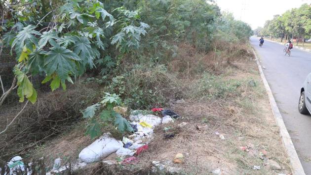 Dragged into bushes and gangraped around 8pm, the victim was found sobbing on the roadside at 9m. (HT Photo) Dragged into bushes and gangraped around 8pm, the victim was found sobbing on the roadside at 9m. (HT Photo)