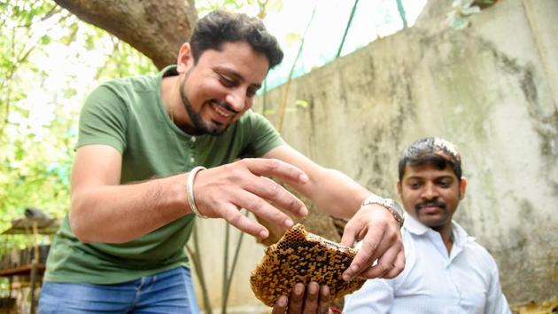 Amit Godse (L) and Pravin Patil relocating a bee hive to a shelter on Sunday.(Sanket Wankhade/HT PHOTO)