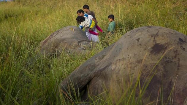 A villager props his daughter as she places flowers on the carcass of one of two elephants from the herd that were hit by a passenger train while crossing the tracks. (Anupam Nath / AP) A villager props his daughter as she places flowers on the carcass of one of two elephants from the herd that were hit by a passenger train while crossing the tracks. (Anupam Nath / AP)