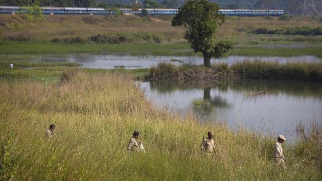 Indian forest officials track the herd’s footprints after two elephants were killed near a railway track. Continued accidents hint at lapses in the existing mechanism put in place or complacency in implementation by forest department and railway officials. (Anupam Nath / AP) Indian forest officials track the herd’s footprints after two elephants were killed near a railway track. Continued accidents hint at lapses in the existing mechanism put in place or complacency in implementation by forest department and railway officials. (Anupam Nath / AP)