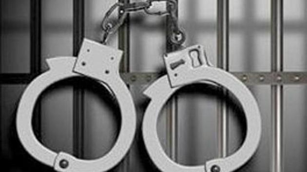 He was arrested at Indira Gandhi International Airport in Delhi. (Pic for Representation) He was arrested at Indira Gandhi International Airport in Delhi. (Pic for Representation)