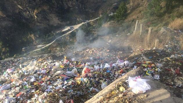 The present waste management of the forces has led to an increase in dog population, officials said. (HT File) The present waste management of the forces has led to an increase in dog population, officials said. (HT File)
