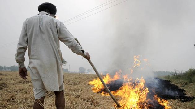 NGT asked the states to recommend a mechanism for transportation of agriculture residue, excluding the residue left in the field for manure, and the incentives which could be provided to the farmers. NGT asked the states to recommend a mechanism for transportation of agriculture residue, excluding the residue left in the field for manure, and the incentives which could be provided to the farmers.