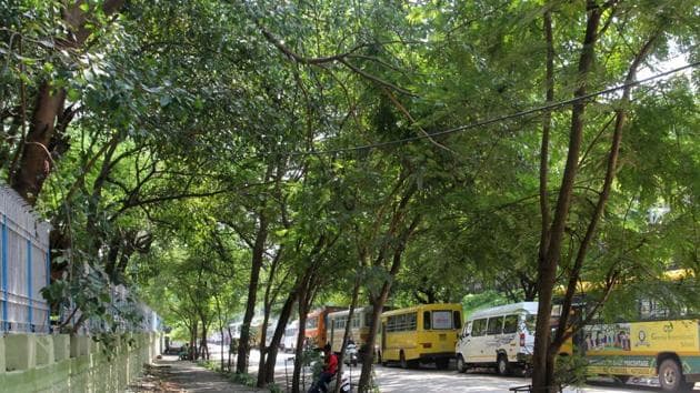 According to the petitioner, environmental activist Shobhit Chauhan, the project proponent Delhi Mumbai Industrial Corridor Development Corporation should explore the possibility of transplantation of the mature trees rather than recklessly felling the trees and earning revenue by sale of timber obtained.(HT FILE)