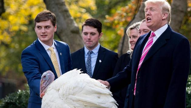 US President Donald Trump pardons Thanksgiving turkey Drumstick in the Rose Garden of the White House in Washington, DC, on November 21, 2017. / (AFP Photo) US President Donald Trump pardons Thanksgiving turkey Drumstick in the Rose Garden of the White House in Washington, DC, on November 21, 2017. / (AFP Photo)