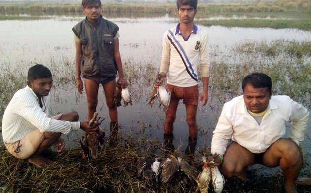 The suspected poachers who were spotted by a birdwatcher who with the help of villagers nabbed them at Jhajjar’s Mandothi village.(HT Photo)