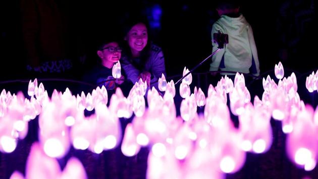 People take a selfie over beds of illuminated tulips at “Flower Power” which is part of the “Enchanted: Forest of Light” at Descanso Gardens. The 10-exhibit night time experience transforms the Descanso botanical gardens into a luminescent forest with interactive installations, coupled with sound effects as holiday season sweeps over the United States. (Mario Anzuoni / REUTERS) People take a selfie over beds of illuminated tulips at “Flower Power” which is part of the “Enchanted: Forest of Light” at Descanso Gardens. The 10-exhibit night time experience transforms the Descanso botanical gardens into a luminescent forest with interactive installations, coupled with sound effects as holiday season sweeps over the United States. (Mario Anzuoni / REUTERS)