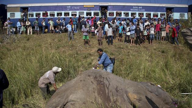 A passenger train passes as vets measure the carcass of two elephants that were hit and killed by a passenger train near a railway track in Thakur Kuchi village on the outskirts of Guwahati on November 19.(AP File Photo)