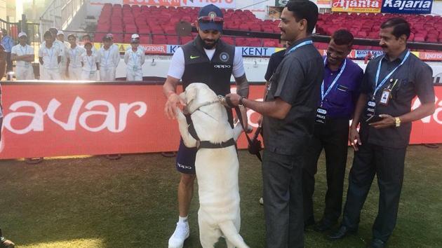 Indian cricket team skipper Virat Kohli, an ardent dog-lover, had adopted 15 destitute dogs earlier this year. Kohli plays with a security dog at the Vidarbha Cricket Association stadium in Nagpur during the second Test between India and Sri Lanka. (Twitter - BCCI) Indian cricket team skipper Virat Kohli, an ardent dog-lover, had adopted 15 destitute dogs earlier this year. Kohli plays with a security dog at the Vidarbha Cricket Association stadium in Nagpur during the second Test between India and Sri Lanka. (Twitter - BCCI)