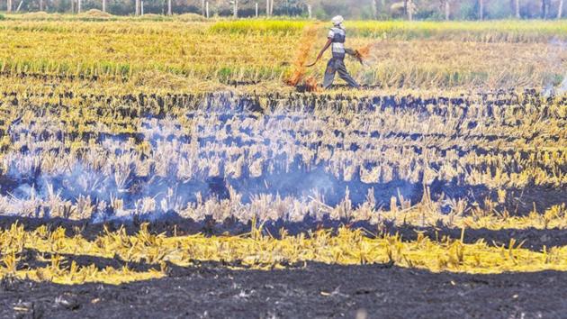 Farmers’ unions say the drive should have been initiated in advance. (HT File/Representative image) Farmers’ unions say the drive should have been initiated in advance. (HT File/Representative image)