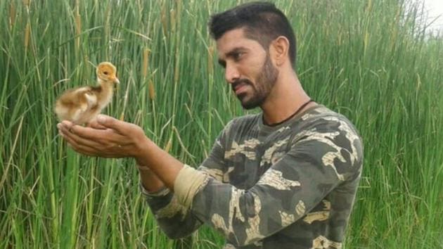 Sonu Dalal with a Sarus Crane chick he saved from stray dogs at Mandouthi in Haryana. (Rakesh Ahlawat) Sonu Dalal with a Sarus Crane chick he saved from stray dogs at Mandouthi in Haryana. (Rakesh Ahlawat)