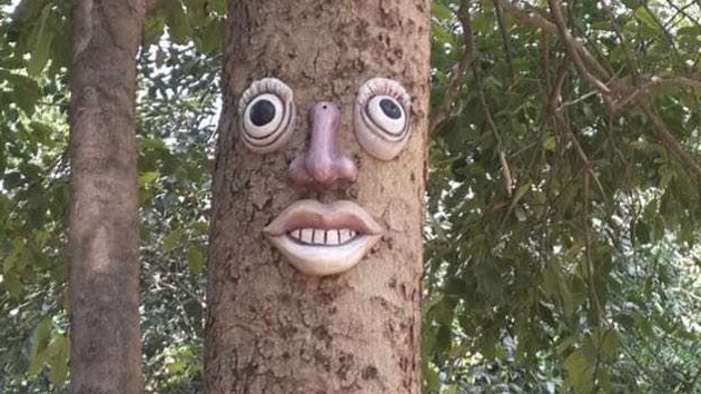 SDMC has used wood to make faces on six trees at Jangpura. (Photo: Sourced) SDMC has used wood to make faces on six trees at Jangpura. (Photo: Sourced)