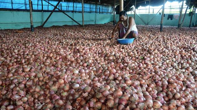 Workers sort out onions at a warehouse. (File) Workers sort out onions at a warehouse. (File)