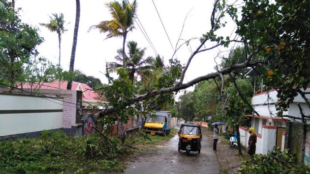 Four deaths were reported in Tamil Nadu, four others were killed in Kerala. Strong winds uprooted trees that fell on vehicles and houses, killing five people while two died after touching live wires in Thiruvananthapuram’s Kattakada. Authorities said the toll was likely to go up as snapped communication networks had cut off several areas. (Vivek Nair / HT Photo) Four deaths were reported in Tamil Nadu, four others were killed in Kerala. Strong winds uprooted trees that fell on vehicles and houses, killing five people while two died after touching live wires in Thiruvananthapuram’s Kattakada. Authorities said the toll was likely to go up as snapped communication networks had cut off several areas. (Vivek Nair / HT Photo)