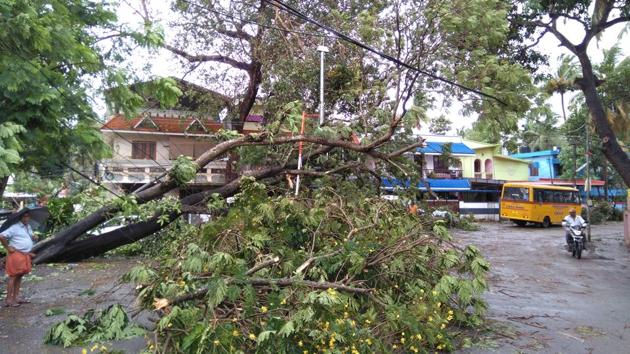 Photos: 9 Dead As Cyclone Ockhi Hits Kerala And TN, Headed To ...