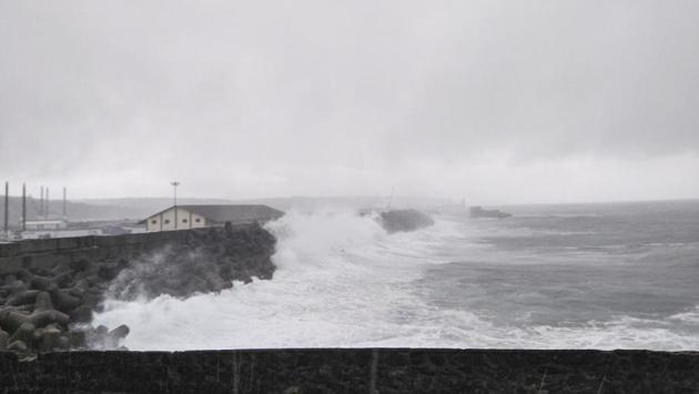 The rains, which have killed nine people in Kerala and Tamil Nadu since Thursday, have intensified followed by gushing winds and heavy showers. (Vivek Nair / HT Photo) The rains, which have killed nine people in Kerala and Tamil Nadu since Thursday, have intensified followed by gushing winds and heavy showers. (Vivek Nair / HT Photo)