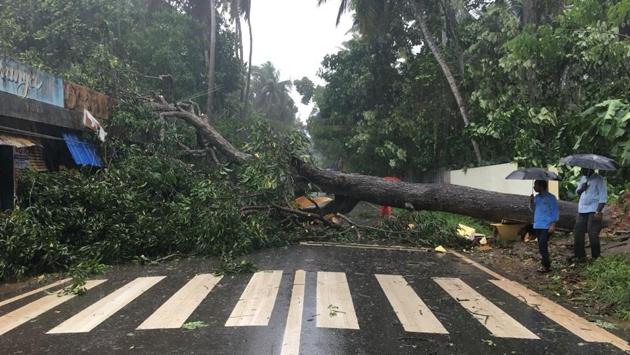 Scenes like this, of trees uprooted and damage to infrastructure were seen in the wake of cyclone Ochki in Thiruvananthapuram. At least 2,000 families living near sea and low-lying areas have been evacuated and moved to safer places. (HT Photo) 