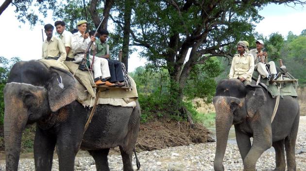 Forest guards on elephants during patrolling in the Corbett Tiger Reserve.(HT File Photo.) Forest guards on elephants during patrolling in the Corbett Tiger Reserve.(HT File Photo.)