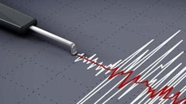 The quake, which was deep at 110 kilometers (68 miles), struck at 10:06 p.m. local time Saturday.(Representative Photo)