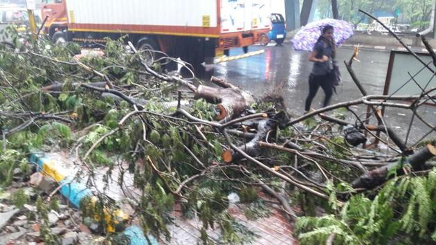 A collapsed tree blocks a footpath near Thane. Maharashtra entered a state of high alert to tackle the stormy weather. According to IMD, “Heavy rainfall is likely at a few places with squally wind speed reaching 50 to 60 kms per hour, gusting to 70 kms per hour very likely along coastal area in next 24 hours.” (Praful Gangurde / HT Photo) A collapsed tree blocks a footpath near Thane. Maharashtra entered a state of high alert to tackle the stormy weather. According to IMD, “Heavy rainfall is likely at a few places with squally wind speed reaching 50 to 60 kms per hour, gusting to 70 kms per hour very likely along coastal area in next 24 hours.” (Praful Gangurde / HT Photo)