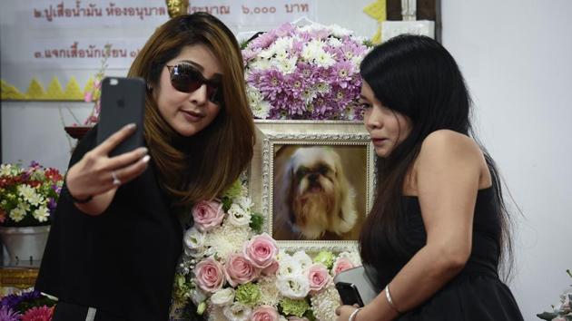 Pimrachaya Worakijmanotham (L) and her friend take a selfie with a photo of Dollar, her six-year-old Shitzu, during the pet’s funeral. “This is the last time I can be with her... so I want Dollar to receive good things,” Pimrachaya, dressed in black and wearing sunglasses, told AFP, a framed photo of “her child” Dollar behind her. (Lillian Suwanrumpha / AFP)