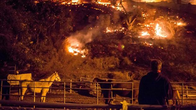 A man watches as the Creek Fire burns behind a hillside near houses in the Shadow Hills neighborhood of Los Angeles, California, on December 5. (AFP Photo) A man watches as the Creek Fire burns behind a hillside near houses in the Shadow Hills neighborhood of Los Angeles, California, on December 5. (AFP Photo)