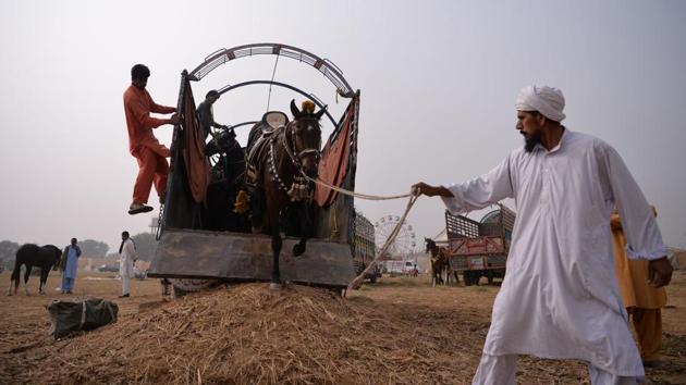 A man unloads a horse from a truck at the tent-pegging competition at the village of Kot Fateh Khan. Tent-pegging competitions have been held in the subcontinent for hundreds of years but have now been largely reduced to the odd festival, with Pakistan’s most populous Punjab province hosting the majority of such events. (Aamir Qureshi / AFP) A man unloads a horse from a truck at the tent-pegging competition at the village of Kot Fateh Khan. Tent-pegging competitions have been held in the subcontinent for hundreds of years but have now been largely reduced to the odd festival, with Pakistan’s most populous Punjab province hosting the majority of such events. (Aamir Qureshi / AFP)