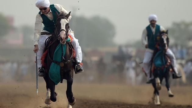 Despite the abundance of horses, participants fear their beloved sport is in dire need of fresh blood, as the number of breeders and riders continues to wane nationwide. “The love of breeding horses has been... reduced to a few families,” said Haroon Bandial, a World Cup gold medallist, citing the enormous cost of raising horses as a barrier to entry. (Aamir Qureshi / AFP) Despite the abundance of horses, participants fear their beloved sport is in dire need of fresh blood, as the number of breeders and riders continues to wane nationwide. “The love of breeding horses has been... reduced to a few families,” said Haroon Bandial, a World Cup gold medallist, citing the enormous cost of raising horses as a barrier to entry. (Aamir Qureshi / AFP)
