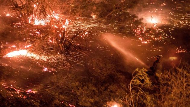 A man uses a hose to extinguish the Creek fire as it burns along a hillside near homes and horses in the Shadow Hills neighbourhood of Los Angeles. Firefighters were also on the scene of the Rye fire --which had grown to 7,000 acres in the Santa Clarita area-- as well as the Creek fire north of downtown Los Angeles that had grown to more than 11,000 acres. (Kyle Grillot / AFP) A man uses a hose to extinguish the Creek fire as it burns along a hillside near homes and horses in the Shadow Hills neighbourhood of Los Angeles. Firefighters were also on the scene of the Rye fire --which had grown to 7,000 acres in the Santa Clarita area-- as well as the Creek fire north of downtown Los Angeles that had grown to more than 11,000 acres. (Kyle Grillot / AFP)