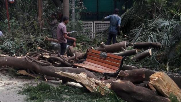 Mumbai woman crushed by tree: Police to check if residents asked for ...