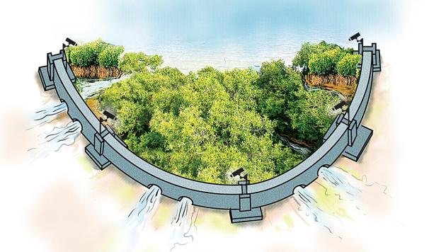 Mangrove cell officials said they will be starting the fencing process from areas most prone to encroachments, including Manori-Gorai, Marwe, Kandivli, Borivli, Charkop, Chitta camp, Kannamwar Nagar, and some parts of the eastern suburbs, as a part of the first phase of the project. (HT) Mangrove cell officials said they will be starting the fencing process from areas most prone to encroachments, including Manori-Gorai, Marwe, Kandivli, Borivli, Charkop, Chitta camp, Kannamwar Nagar, and some parts of the eastern suburbs, as a part of the first phase of the project. (HT)