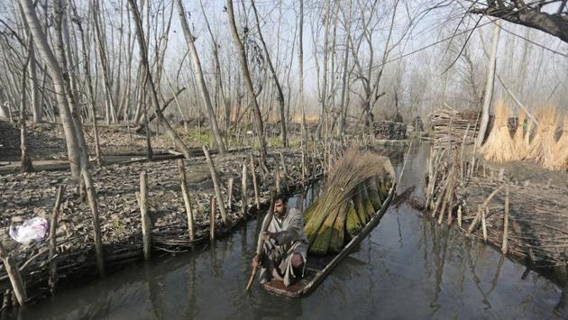A man transports wicker sticks in a small boat on the outskirts of Srinagar on December 05, 2017. Wicker sticks are used to make Kangir--- a traditional Kashmiri firepot. (Waseem Andrabi / HT Photo ) A man transports wicker sticks in a small boat on the outskirts of Srinagar on December 05, 2017. Wicker sticks are used to make Kangir--- a traditional Kashmiri firepot. (Waseem Andrabi / HT Photo )