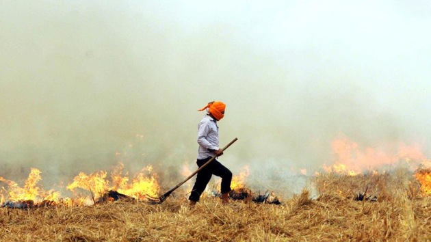 Last year, Punjab had demanded Rs 1,103 crore to check stubble burning, but it got only Rs 40 crore (HT File) Last year, Punjab had demanded Rs 1,103 crore to check stubble burning, but it got only Rs 40 crore (HT File)