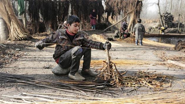 A boy is seen dehusking willow twigs near Srinagar. The Kangri is an economical personal heater when venturing out in the region’s sub-zero winters. Its worth is especially notable in areas where electricity can be scarce and charcoal, which powers these pots is cheaper than gas or oil based alternatives. (Waseem Andrabi / HT Photo) 