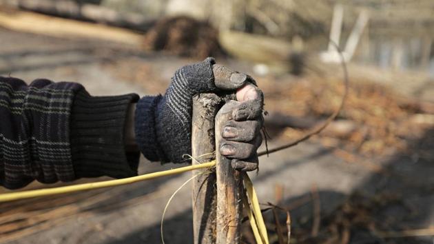 A detailed view of the special apparatus known as Zelan used in separating twigs from the boiled wicker sticks. Zelan is a pair of sturdy sticks sprung tightly together. The softened willow is then placed between slight gaps and pulled to and fro, breaking away the bark to reveal the softer pliable reed inside. (Waseem Andrabi / HT Photo) 