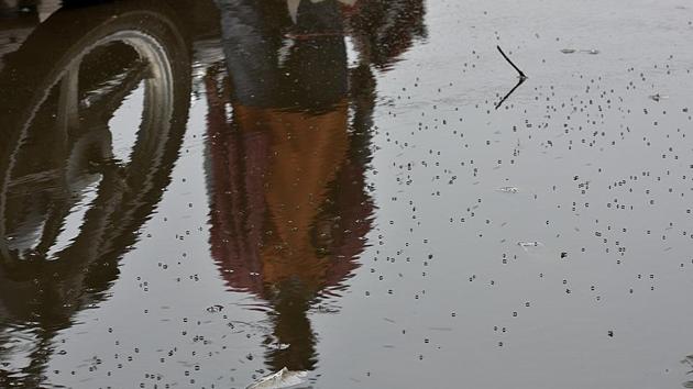 This takes the total number of dengue cases this year to above 9,000 till December 9. This is more than double the number of cases recorded during the same period last year. (Raj K Raj/HT PHOTO) This takes the total number of dengue cases this year to above 9,000 till December 9. This is more than double the number of cases recorded during the same period last year. (Raj K Raj/HT PHOTO)