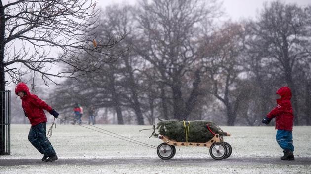 Two boys pull a recently bought Christmas tree on a cart as it snows in Brockwell Park on December 10, 2017 in London. A spokesman for the Highways England agency said there had been road incidents “all over the place”. The flurries continued to fall into the afternoon, threatening to block roads. (Chris J Ratcliffe / Getty Images) Two boys pull a recently bought Christmas tree on a cart as it snows in Brockwell Park on December 10, 2017 in London. A spokesman for the Highways England agency said there had been road incidents “all over the place”. The flurries continued to fall into the afternoon, threatening to block roads. (Chris J Ratcliffe / Getty Images)