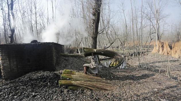 A man unloads bundles of willow twigs next to a kiln for processing. Manufacturing these artisanal pots is laborious and requires craftsmanship. Twigs are collected from deciduous shrubs and willow trees, the outer bark scraped and peeled after a process of soaking and drying, finally woven around bowl-shaped earthenware. (Waseem Andrabi / HT Photo) 