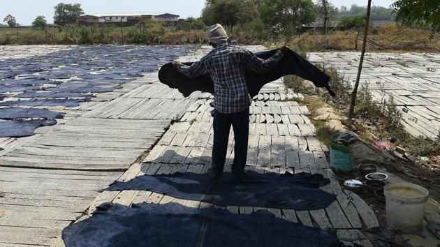 A labour carries buffalo hides that are laid out to dry in the sun, as part of the leather production process, on the banks of the river Ganges in Kanpur on May 20, 2016. (AFP File Photo) A labour carries buffalo hides that are laid out to dry in the sun, as part of the leather production process, on the banks of the river Ganges in Kanpur on May 20, 2016. (AFP File Photo)