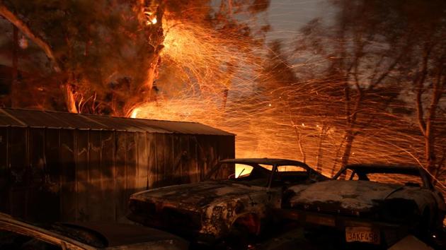 Embers blow from a tree shortly before it fell near burned cars as strong winds flamed the wildfire across thousands of acres near Santa Paula, California. The Thomas Fire is only 35 percent contained and it threatens 18,000 structures, officials said, including some in the wealthy enclave of Montecito. (David McNew / REUTERS) Embers blow from a tree shortly before it fell near burned cars as strong winds flamed the wildfire across thousands of acres near Santa Paula, California. The Thomas Fire is only 35 percent contained and it threatens 18,000 structures, officials said, including some in the wealthy enclave of Montecito. (David McNew / REUTERS)