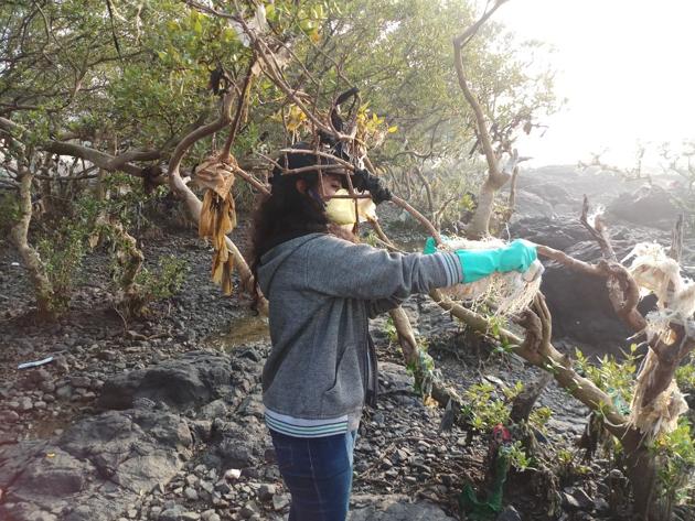 Volunteers clean up mangrove areas at Carter Road, Bandra on Saturday (HT Photo) Volunteers clean up mangrove areas at Carter Road, Bandra on Saturday (HT Photo)