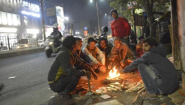 The corporation will also supply firewood for bonfires. (Sakib Ali/HT Photo) The corporation will also supply firewood for bonfires. (Sakib Ali/HT Photo)