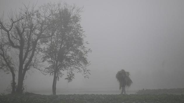 Severe chill prevailed in Adampur, which recorded a low of 4 degrees Celsius. (AP) Severe chill prevailed in Adampur, which recorded a low of 4 degrees Celsius. (AP)