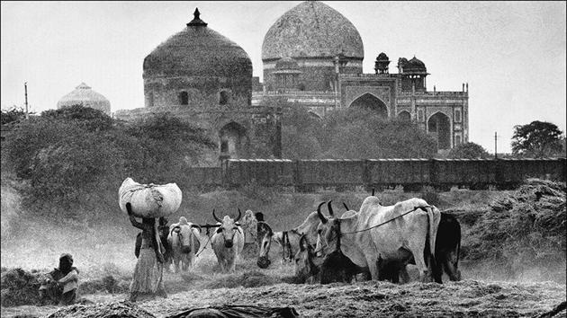 Wheat Thrashing, Humayun’s Tomb Delhi, 1966. On the occasion of Rai’s 75th birthday, his daughter Avani Rai’s documentary feature, ‘Raghu Rai: An Unframed Portrait’ had its world premiere in the capital. (Raghu Rai / Magnum Photos) Wheat Thrashing, Humayun’s Tomb Delhi, 1966. On the occasion of Rai’s 75th birthday, his daughter Avani Rai’s documentary feature, ‘Raghu Rai: An Unframed Portrait’ had its world premiere in the capital. (Raghu Rai / Magnum Photos)