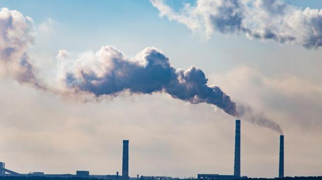 The finding is a reminder of the importance of clean air and the need for more foliage in urban spaces. (Shutterstock) The finding is a reminder of the importance of clean air and the need for more foliage in urban spaces. (Shutterstock)