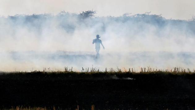 Punjab and Haryana reported 42,337 and 12,606 cases of crop burning in 2017 amid steps taken to prevent them.(REUTERS File Photo) Punjab and Haryana reported 42,337 and 12,606 cases of crop burning in 2017 amid steps taken to prevent them.(REUTERS File Photo)